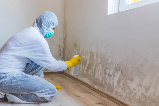 Licensed Mold Testing service in Berlin, PA - WQB Mold Removal