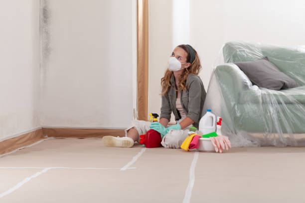 Reliable Mold Testing contractor in Berlin, PA by WQB Mold Removal